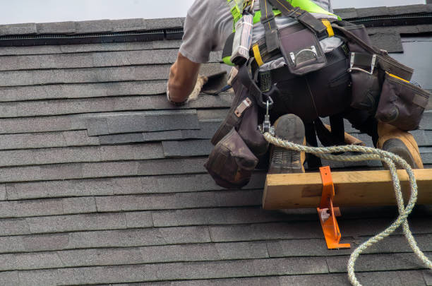 Best Roof Gutter Cleaning  in Fox Lake, WI