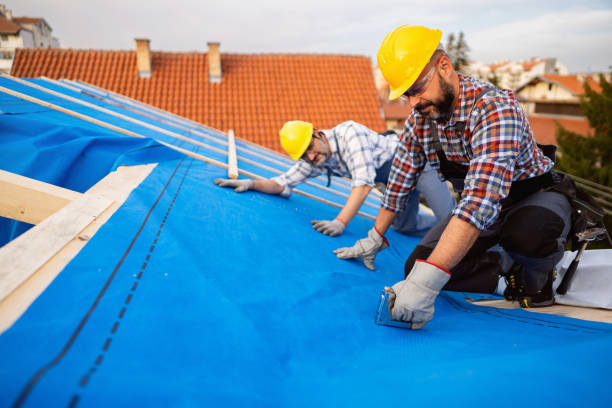 Best Local Roofing Companies  in Fox Lake, WI