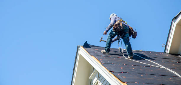 Best Storm Damage Roof Repair  in Fox Lake, WI